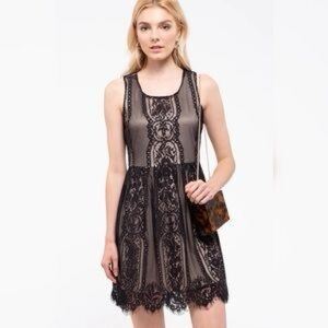 Blu Pepper black lace overlay midi dress size medium